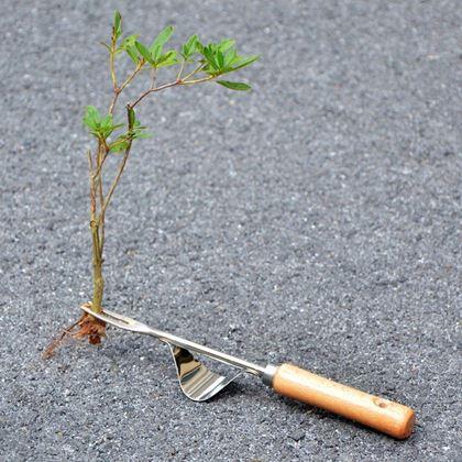 Obrazek z Wyrywacz chwastów