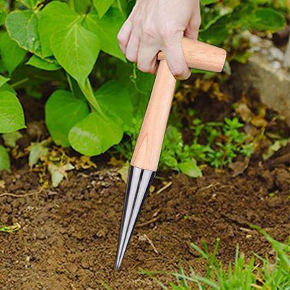 Obrazek z Kołek do sadzenia