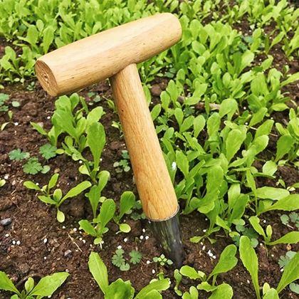 Obrazek z Kołek do sadzenia