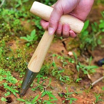 Obrazek z Kołek do sadzenia