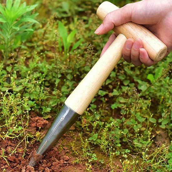 Obrazek z Kołek do sadzenia