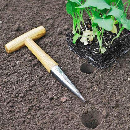 Obrazek z Kołek do sadzenia