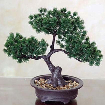 Obrazek z Sztuczna bonsai w doniczce
