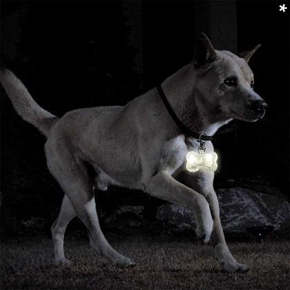 Obrazek z Świecący brelok LED na obrożę