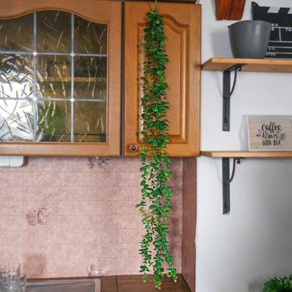 Obrazek z Sztuczna wisząca roślina 124 cm