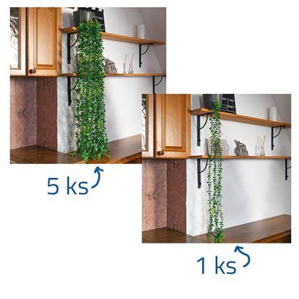 Obrazek z Sztuczna wisząca roślina 124 cm