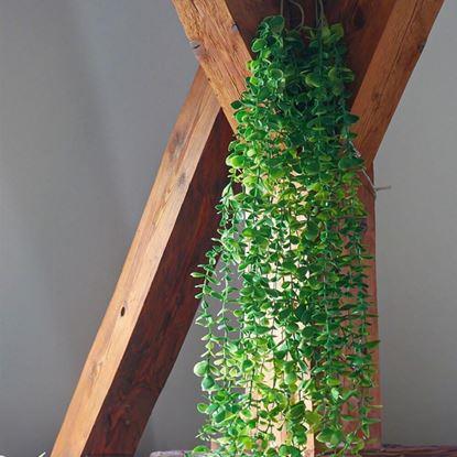 Obraz Sztuczna wisząca roślina 124 cm