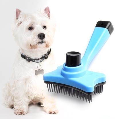 Obraz Samooczyszczająca szczotka do wyczesywania sierści/włosów