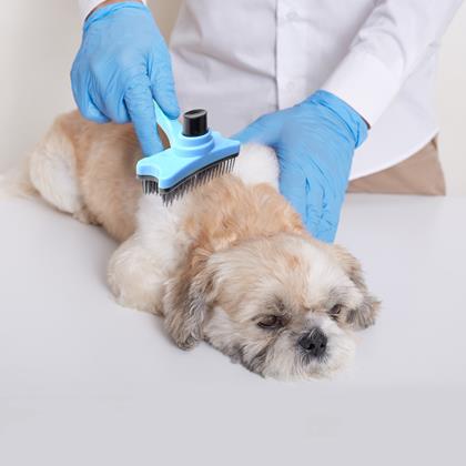 Obrazek z Samooczyszczająca szczotka do wyczesywania sierści/włosów