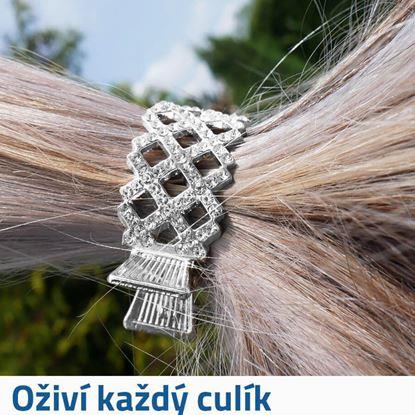 Obraz Zapięcie ozdobne do kokówki