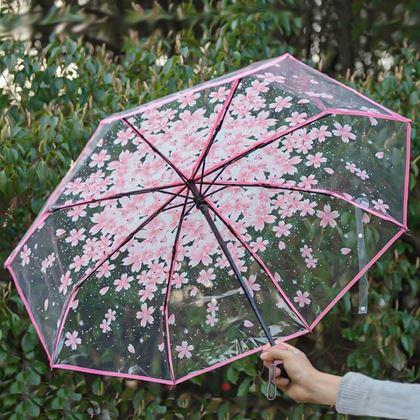 Obrazek z Przezroczysty parasol - kwiaty 