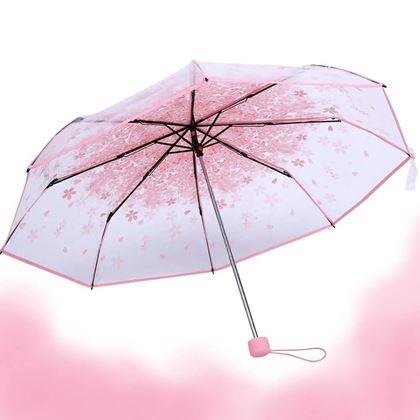 Obrazek z Przezroczysty parasol - kwiaty 