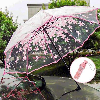 Obraz Przezroczysty parasol - kwiaty 