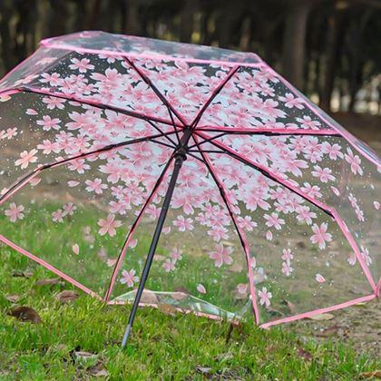 Obrazek z Przezroczysty parasol - kwiaty 
