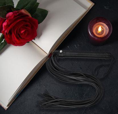 Obraz Seksowny pejcz z paskami