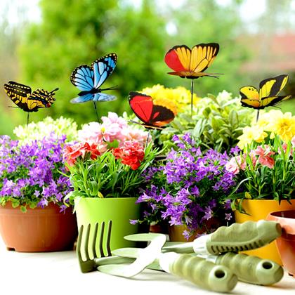 Obrazek z Ozdoba do doniczki 24 szt. – motyl