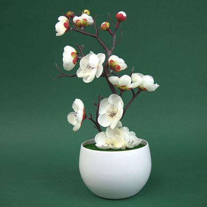 Obrazek z Sztuczna sakura w doniczce – 30 cm