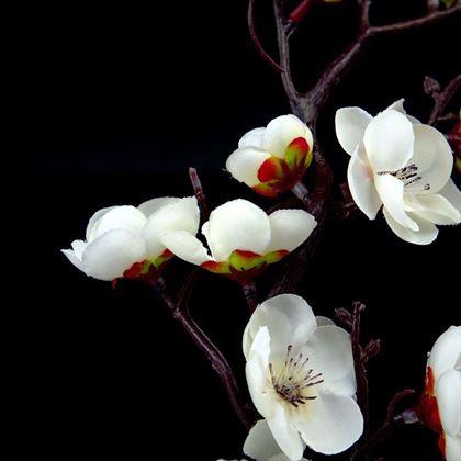 Obrazek z Sztuczna sakura w doniczce – 30 cm