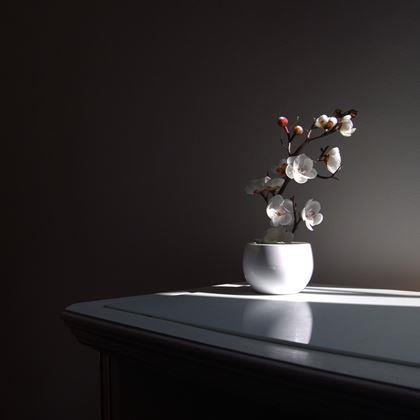 Obrazek z Sztuczna sakura w doniczce – 30 cm