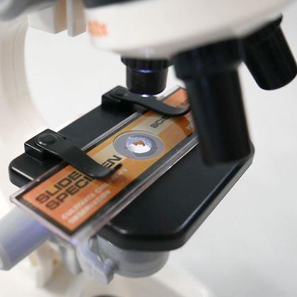 Obrazek z Edukacyjny mikroskop dla dzieci w zestawie z akcesoriami