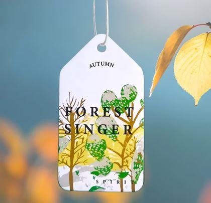 Obrazek z Aromat do samochodu - sosna