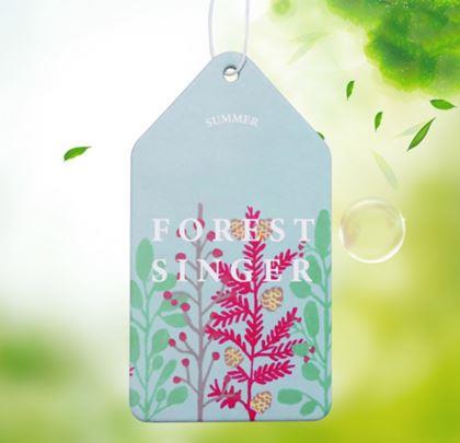 Obrazek z Aromat do samochodu - pomarańcza