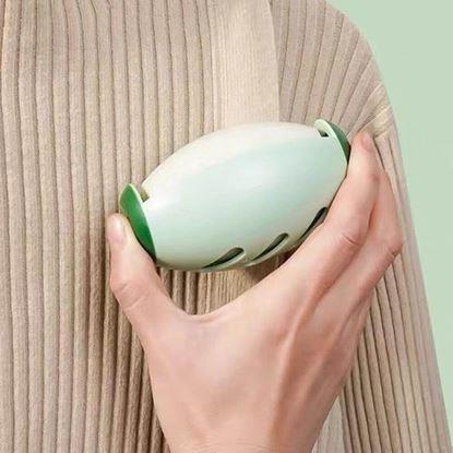 Obraz Zmywalny wałek do czyszczenia sierści