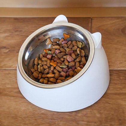 Obrazek z Miska dla kotów 2w1