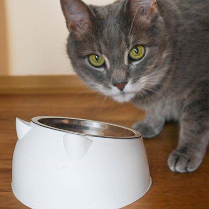 Obrazek z Miska dla kotów 2w1