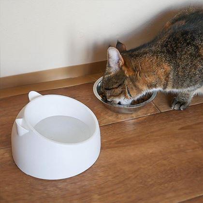 Obrazek z Miska dla kotów 2w1