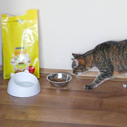 Obrazek z Miska dla kotów 2w1