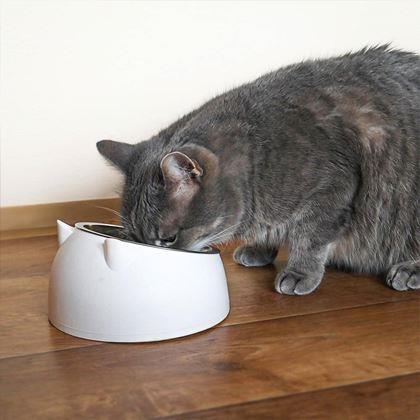 Obrazek z Miska dla kotów 2w1