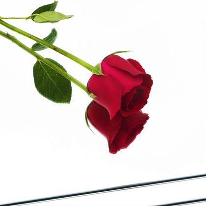 Obrazek z Samoprzylepne kafelki lustrzane 4 sztuki