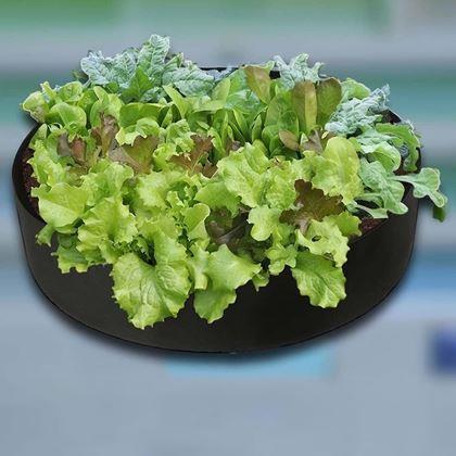 Obrazek z Tekstylny grządka 140 l, 80 x 30 cm