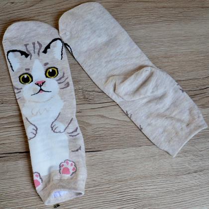 Obrazek z Wesołe skarpetki z kotkiem  -  beżowe