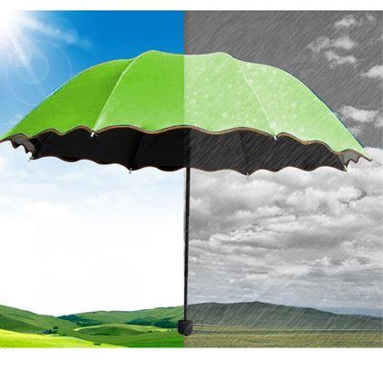 Obrazek z Magiczny parasol  -  limonka