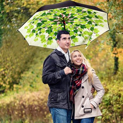 Obrazek z Odwrócony parasol  -  liście