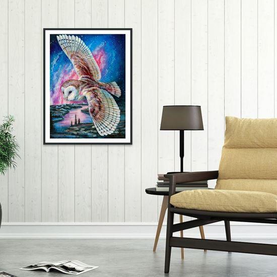 Obrazek z Haft diamentowy  -  płomykówka