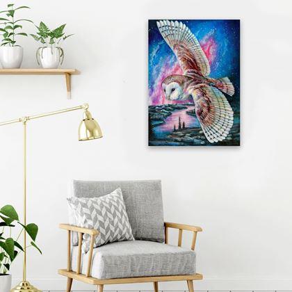 Obrazek z Haft diamentowy  -  płomykówka