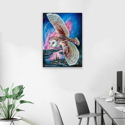 Obrazek z Haft diamentowy  -  płomykówka