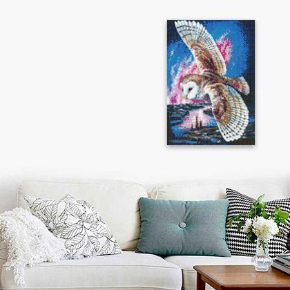 Obrazek z Haft diamentowy  -  płomykówka