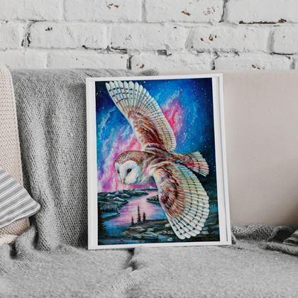 Obrazek z Haft diamentowy  -  płomykówka