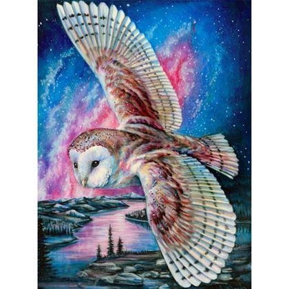 Obrazek z Haft diamentowy  -  płomykówka