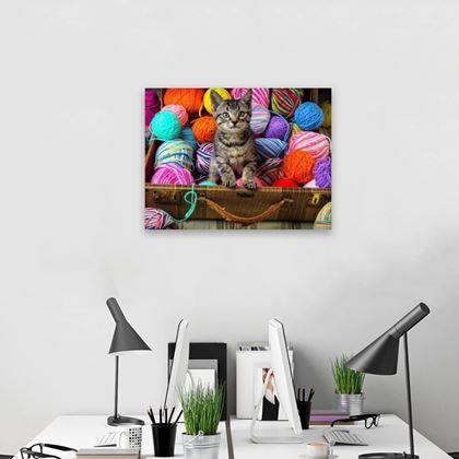 Obrazek z Haft diamentowy  -  kociątko