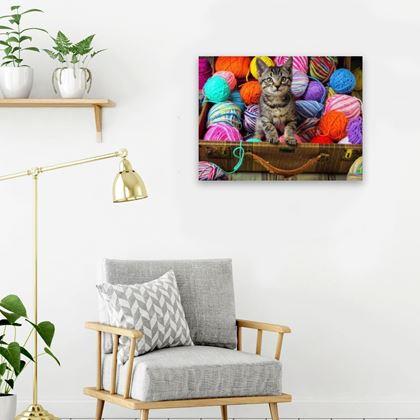 Obrazek z Haft diamentowy  -  kociątko