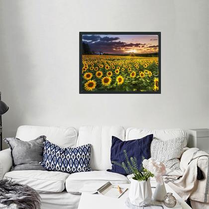 Obrazek z Haft diamentowy  -  pole słoneczników