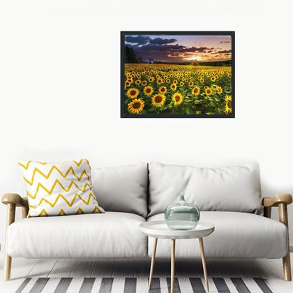 Obrazek z Haft diamentowy  -  pole słoneczników