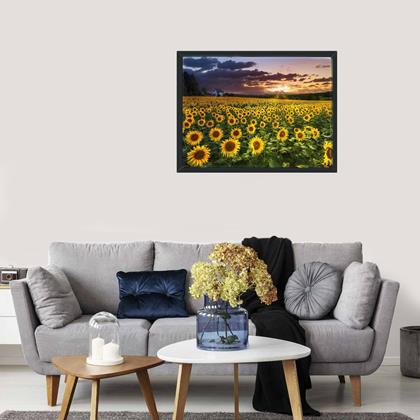 Obrazek z Haft diamentowy  -  pole słoneczników