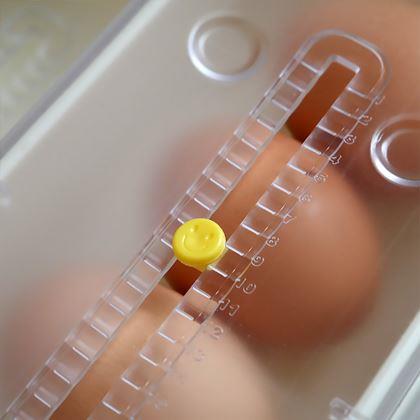 Obrazek z Grawitacyjny organizer na jajka