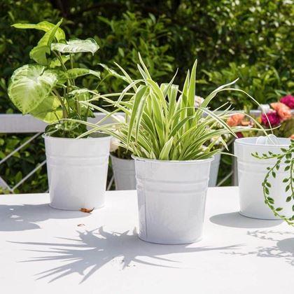 Obrazek z Wisząca doniczka na balkon -  biała